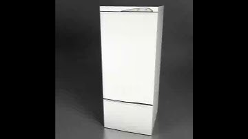 3D Model of Fridge Review