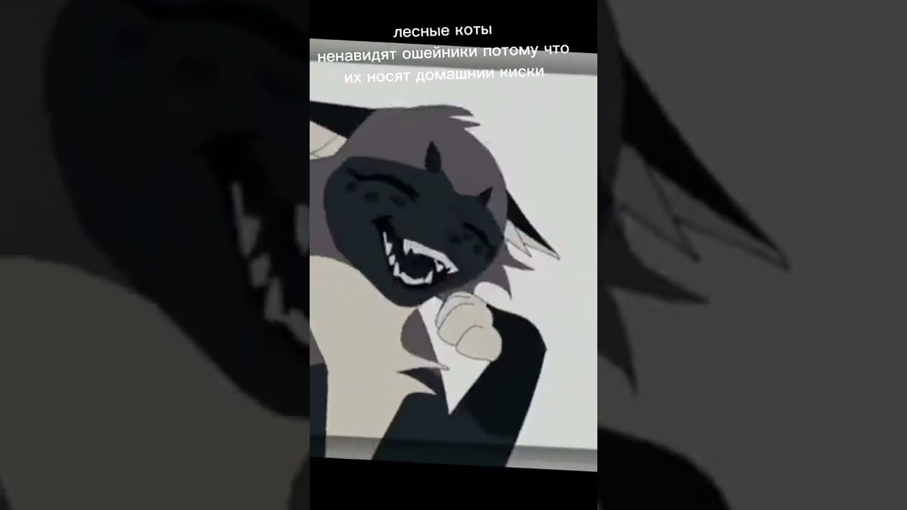 preview_player