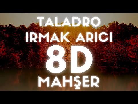 Taladro Ft. Irmak Arıcı - Mahşer(8D SES / AUDIO)