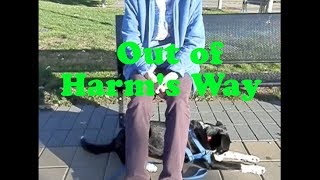 Training Your #ServiceDog How to get Under- Out of the Way! #assistancedogbehaviors