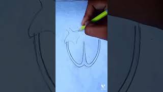 How to draw human heart diagram easily step by step/ by all in one girl