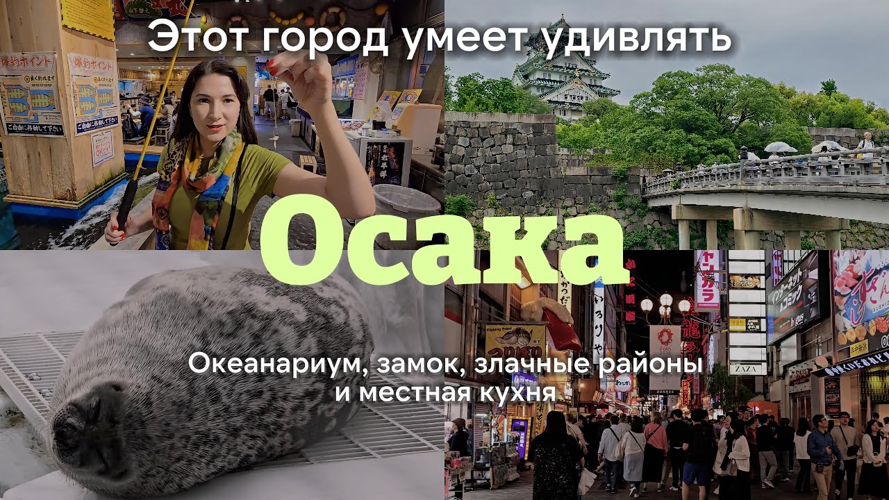 Осака на максималках: замок, акулы и самый опасный район