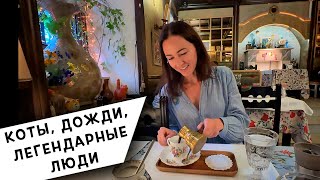 картинка: Культурная Прогулка по Ресторанам и Кафе Петербурга