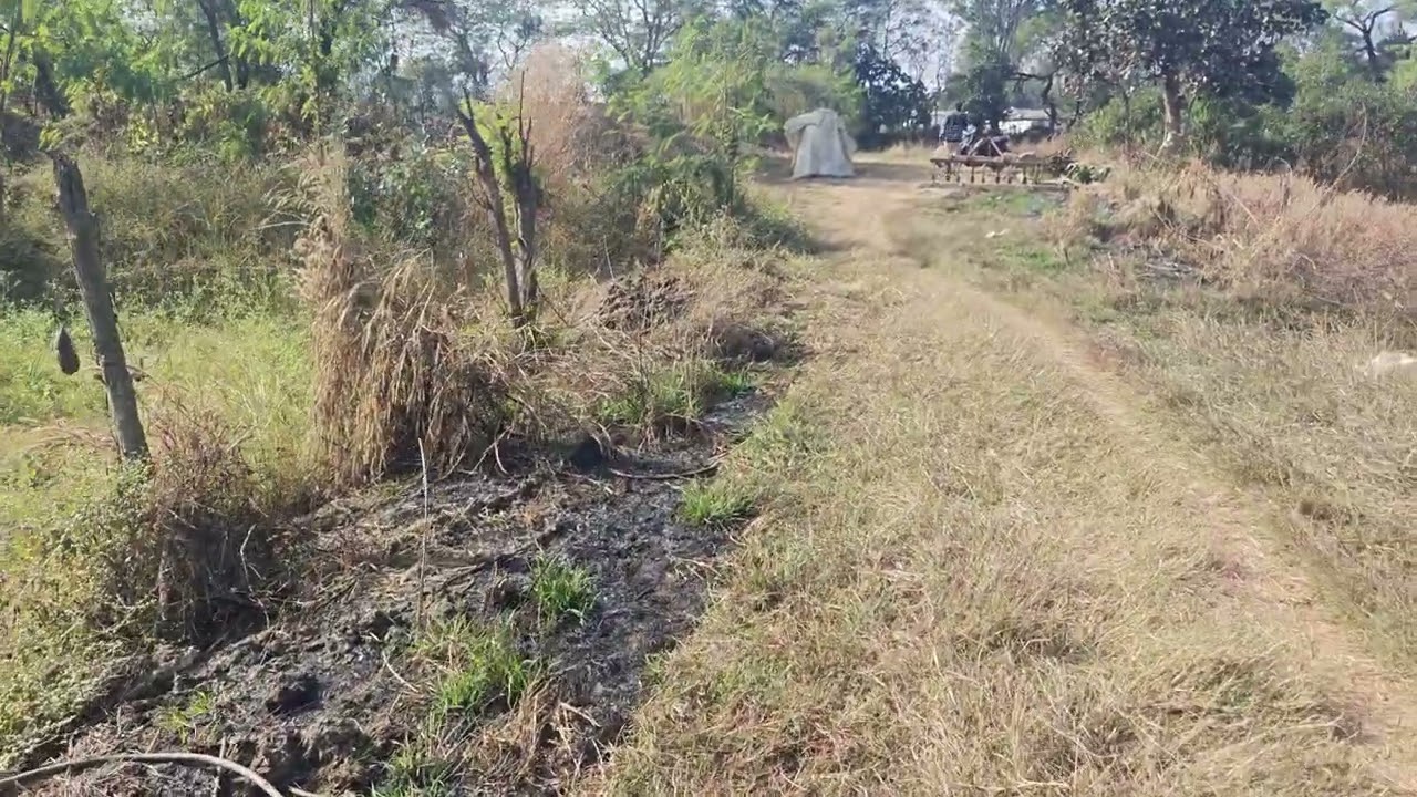 Bilaspur, c.g me form house ke liye plot Avilibel... 9977271347