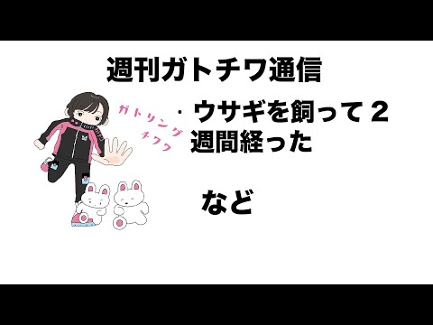 ガトチワ通信〜うさぎの教育〜