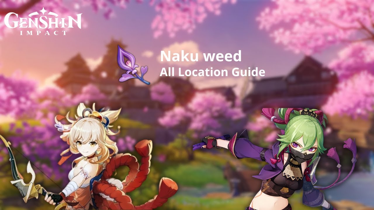 [GUIDE] All Naku Weed Farming Route Location Inazuma Region | Genshin Impact