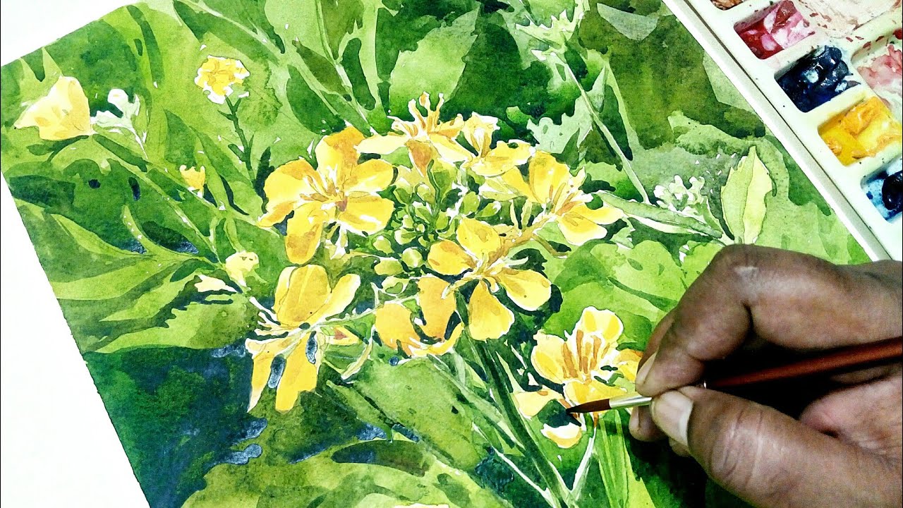 Mustard Flowers in watercolour | Watercolour Painting