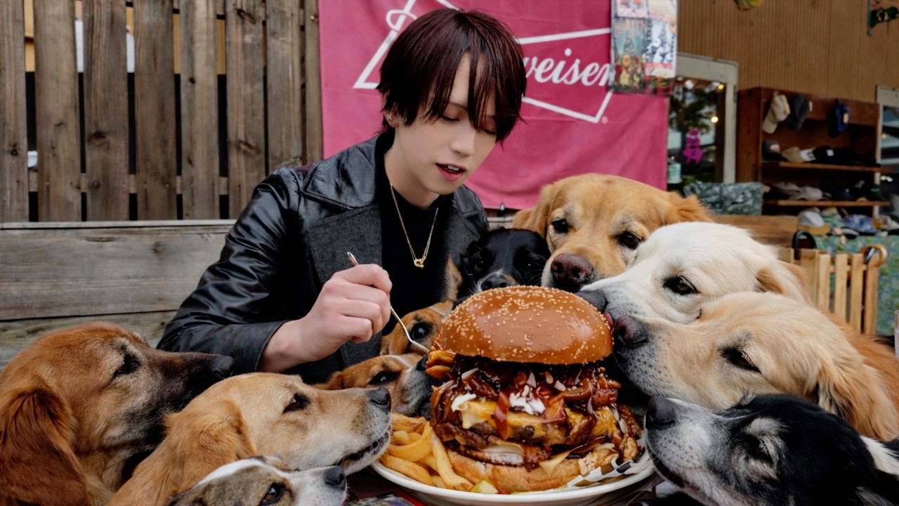 【知らなかった!?東京から数10分でアメリカ!?🇺🇸】異常な犬の量です。［Mr chrome］