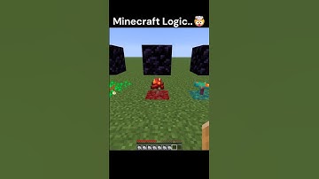 Minecraft Logic Makes ZERO Sense 🤯 #shorts