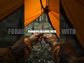 Storm Shelter in the Canyon A Practical Survival Snapshot