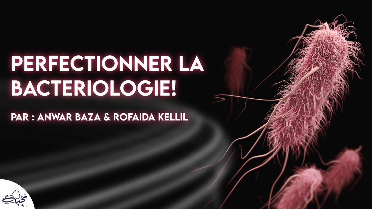 #Microbiologie - PERFECTIONNER LA BACTERIOLOGIE! Anwar Baza & Rofida Kellil