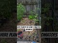 Weed, plant, water, repeat.