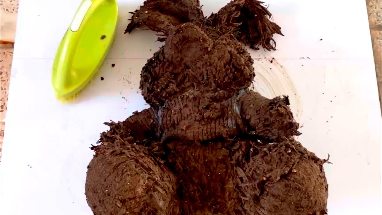 BABY THREE Lucky Bear Muddled Cleaning transforms Restoration Stuffed Animal onFireASMR