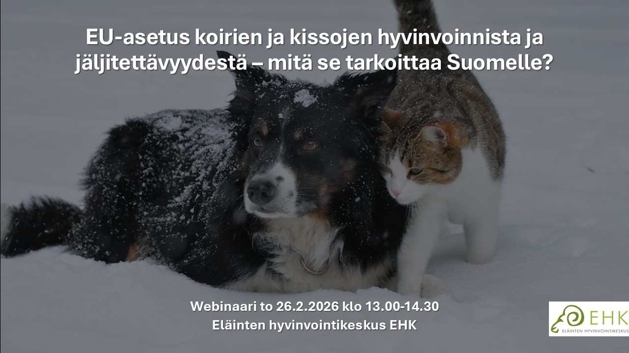Webinaari  Koirien ja kissojen hyvinvointi ja jäljitettävyys