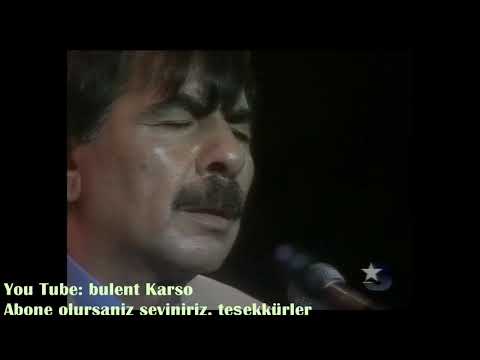 Arif Sag, Erol