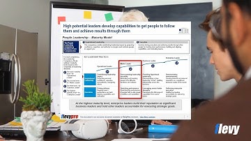 The Top 10 Business Maturity Models