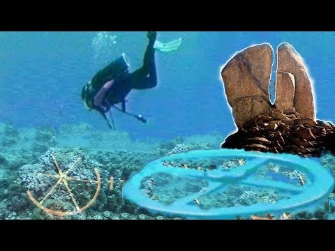 Vídeo: Primeiro Registro De Polyonyx Loimicola Sankolli, 1965 (Crustacea, Decapoda, Anomura, Porcellanidae) Do Mar Vermelho, Egito