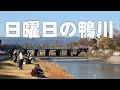 日曜日の京都・鴨川は、地元の人々や観光客で賑わう憩いの場です(2026年3月1日)