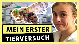 Biologie studieren: So ist es wirklich - Zwischen Vorlesung und Mikroskop | alpha Uni