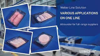 Flexible Weber Line Solution for various Applications | weSLICE 4500, SmartPicker, wePACK 7000