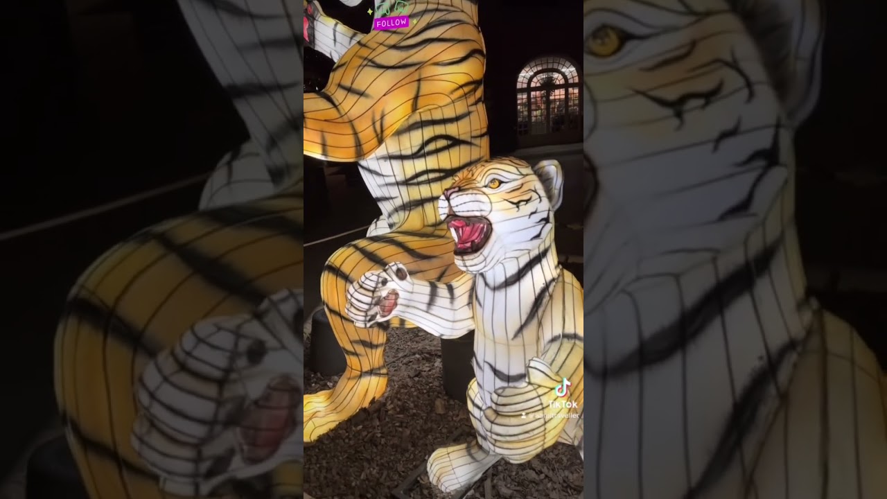 Les lumières sauvages du zoo de Thoiry : une expérience magique 