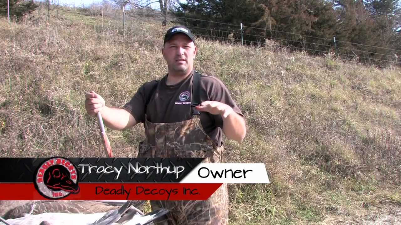 Wild Wing Slinger by Deadly® Decoys YouTube
