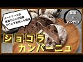【技術とアイデアを活用】ショコラカンパーニュ【少ない設備で焼くパン】
