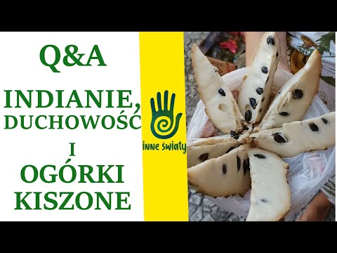 Indigenous people, spirituality, and pickles - Inne Światy Q&A part 1 #travel #brazil #spirituali...
