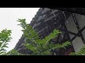 Heavy Rain Sounds for Deep Sleep | Rainstorm at Night | Relaxing Ambience (3 Hours)