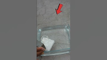 Frog Levitation #shorts #bluebox