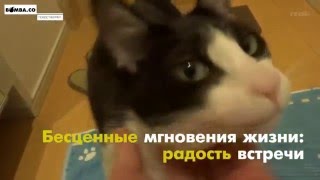 Видео Настоящая радость встречи (автор: Bomba.co)
