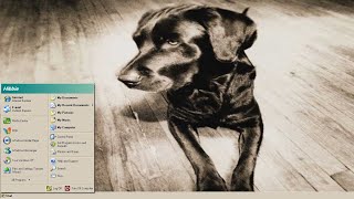 Windows Xp Dogs Theme Sounds