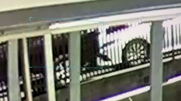 Axon Capture Video 2024 01 29 163936 4041835