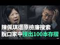陳佩琪被查事件