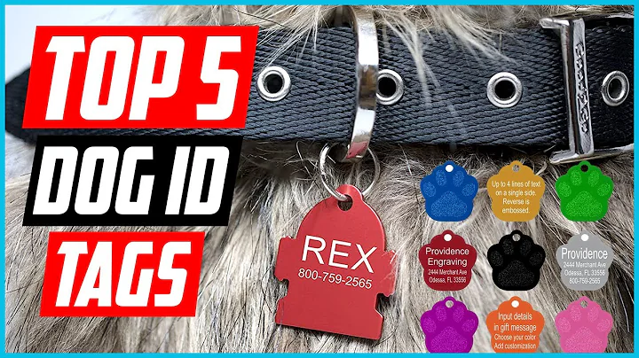 Discover the Best Dog ID Tags for 2023