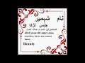 Shahmeer Name Meaning in Urdu - Islamic baby names