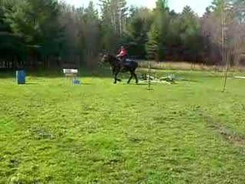 Video: Horse-kivi. Tula-alue - Vaihtoehtoinen Näkymä