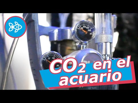 Video: CO2 - ¿Qué es? El uso de CO2 en el acuario. Sistema de suministro de CO2