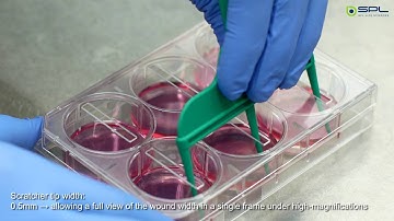 SPL Scar™ Scratcher & Block