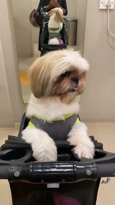 some days later we present video to subscribers, don't miss to ser