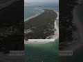 WATCH: Man lands helicopter on protected bird nests on Egmont Key