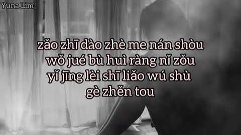 Yi Yi Ge Shang Xin 一亿个伤心 "female" (seratus juta kesedihan ) Peng Qing 彭清 Lyrics