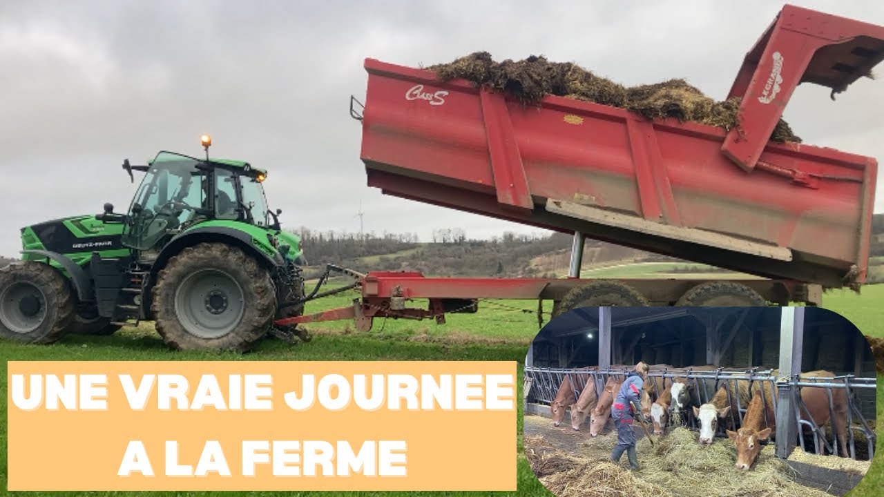 Vaccination, fumier et clôture : une journée complète à la ferme ! 💉🐂🌿😊