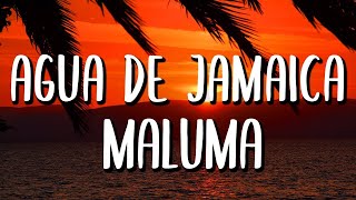 Maluma - Agua de Jaimaca (Letra/Lyrics)