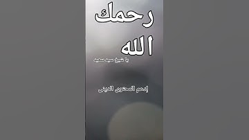 #تلاوة_خاشعة للشيخ #سيد_سعيد #اكسبلور #المصحف #تيك_توك #قرآن #راحة_نفسية #دويتو #حالات_واتس #لايك
