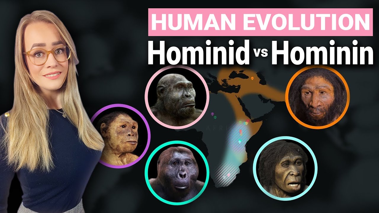 Human Evolution Explained | Hominid  Hominin Difference
