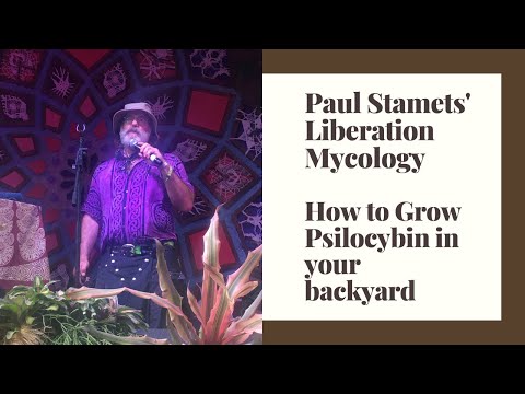 Paul Stamets Explains How To Grow Your Own Psilocibin Mushrooms at Envision Festival Costa Rica 2020