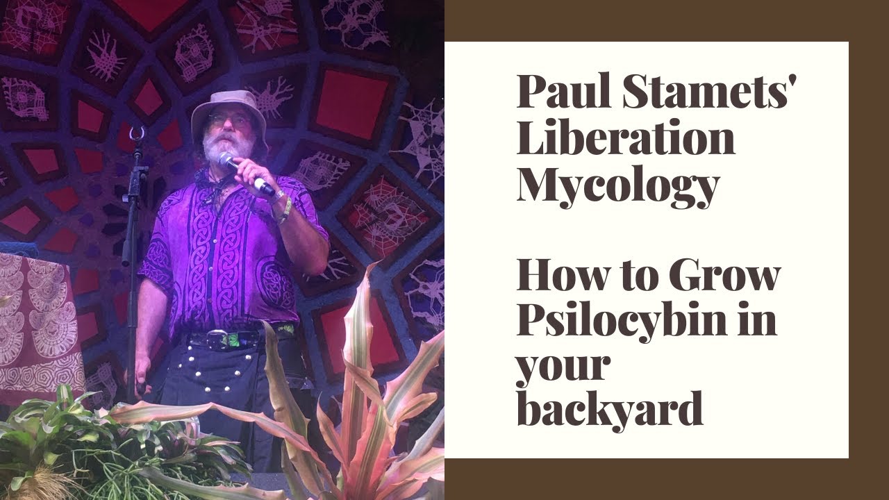 Paul Stamets Explains How To Grow Your Own Psilocibin Mushrooms at