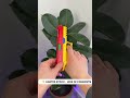 Unlock Desk Coolness — Fire Ready Blaster 💥