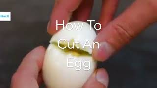 How To Cut An Egg